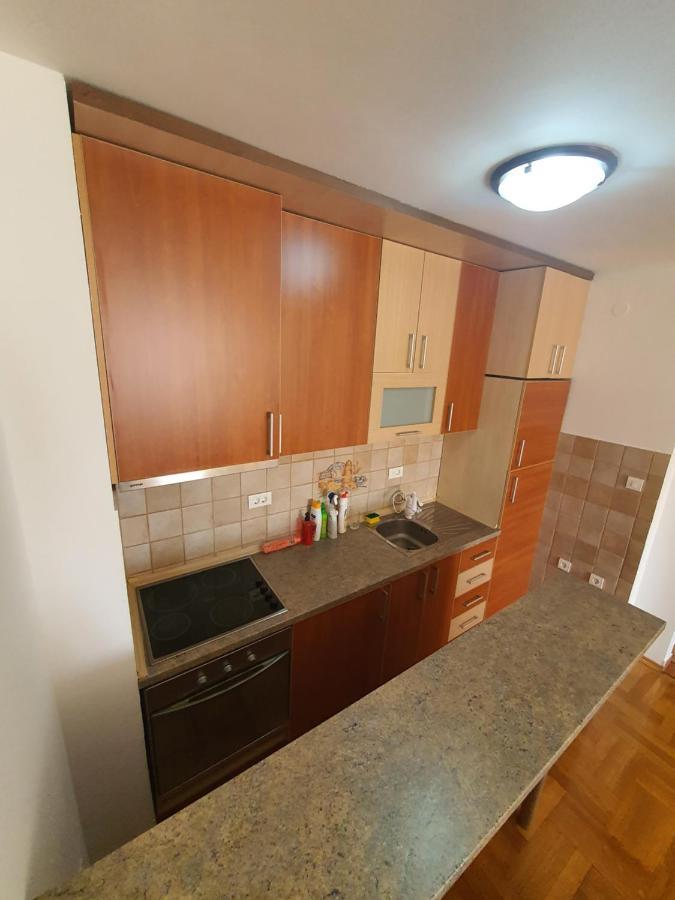 Oksana Apartment Podgorica Kültér fotó